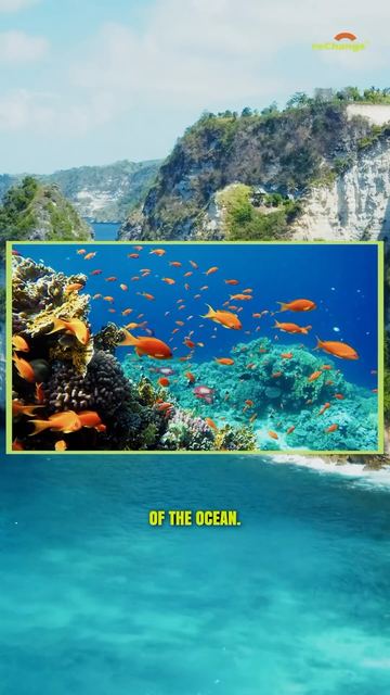 Of the Ocean